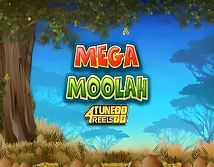 Preview image of Mega Moolah 4Tune Reels