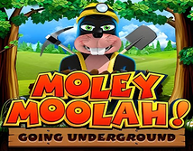 Preview image of Moley Moolah