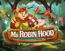 Preview image of Ms Robin Hood