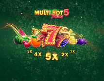 Multi Hot 5 Deluxe