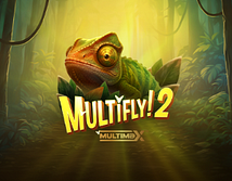 Предварительный просмотр MultiFly 2 MultiMax