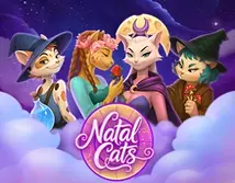 Natal Cats