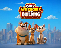 Only Whiskers in the Building