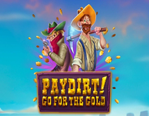 Preview image of Paydirt Go for the Gold
