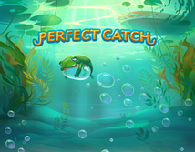 Anteprima di Perfect Catch