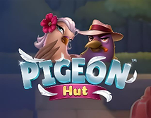 Preview image of Pigeon Hut