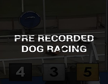 Preview image of Pre Recorded Dog Racing