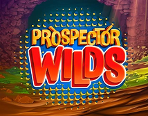 Preview image of Prospector Wilds