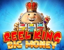 Preview image of Reel King Big Money