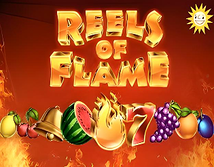 Preview image of Reels of Flame