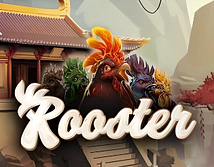 Rooster