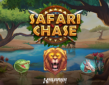 Safari Chase