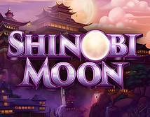 Preview image of Shinobi Moon
