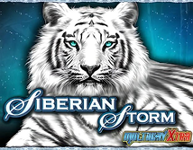 Preview image of Siberian Storm