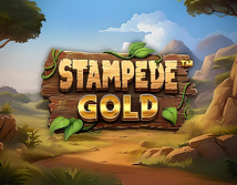 Preview image of Stampede Gold