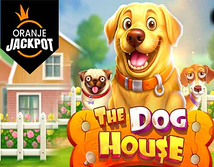 Preview image of The Dog House Oranje Jackpot