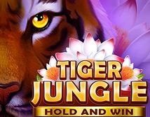 Tiger Jungle