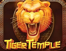 Vorschaubild von Tiger Temple