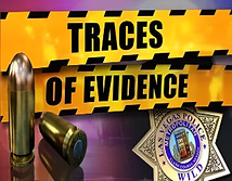 Preview image of Traces of Evidence