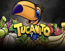 Tucanito