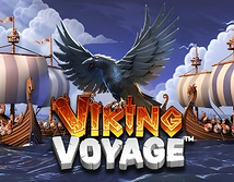 Viking Voyage