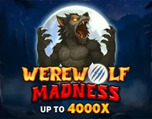 Aperçu de Werewolf Madness