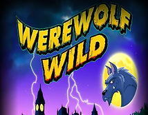Preview image of Werewolf Wild