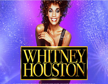 Aperçu de Whitney Houston