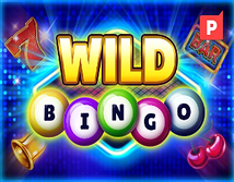 Preview image of Wild Bingo