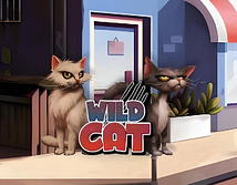 Wild Cat