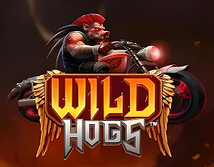 Preview image of Wild Hogs