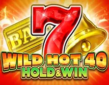 Preview image of Wild Hot 40 Hold and Win