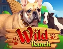Preview image of Wild Ranch