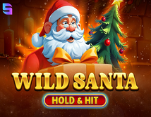 Preview image of Wild Santa Hold and Hit
