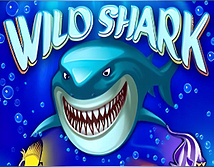 Предварительный просмотр Wild Shark