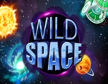 Preview image of Wild Space
