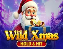 Preview image of Wild Xmas Hold and Hit