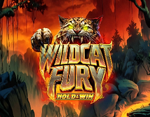 Vorschaubild von Wildcat Fury
