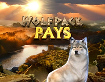 Wolfpack Pays