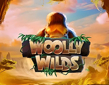 Preview image of Woolly Wilds