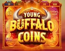 Preview image of Young Buffalo Coins