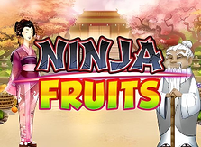 Ninja Fruits screenshot
