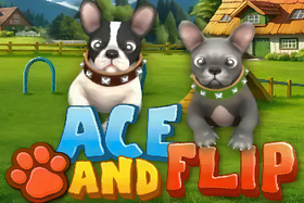 Ace and Flip image