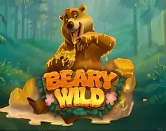 Beary Wild image