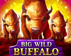 Big Wild Buffalo image
