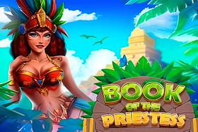 Book of the Priestess image
