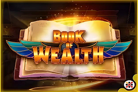 Book of Wealth image