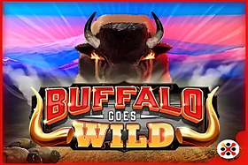 Buffalo Goes Wild image