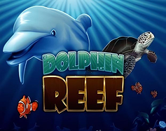 Dolphin Reef image