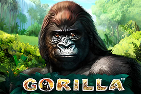 Gorilla image